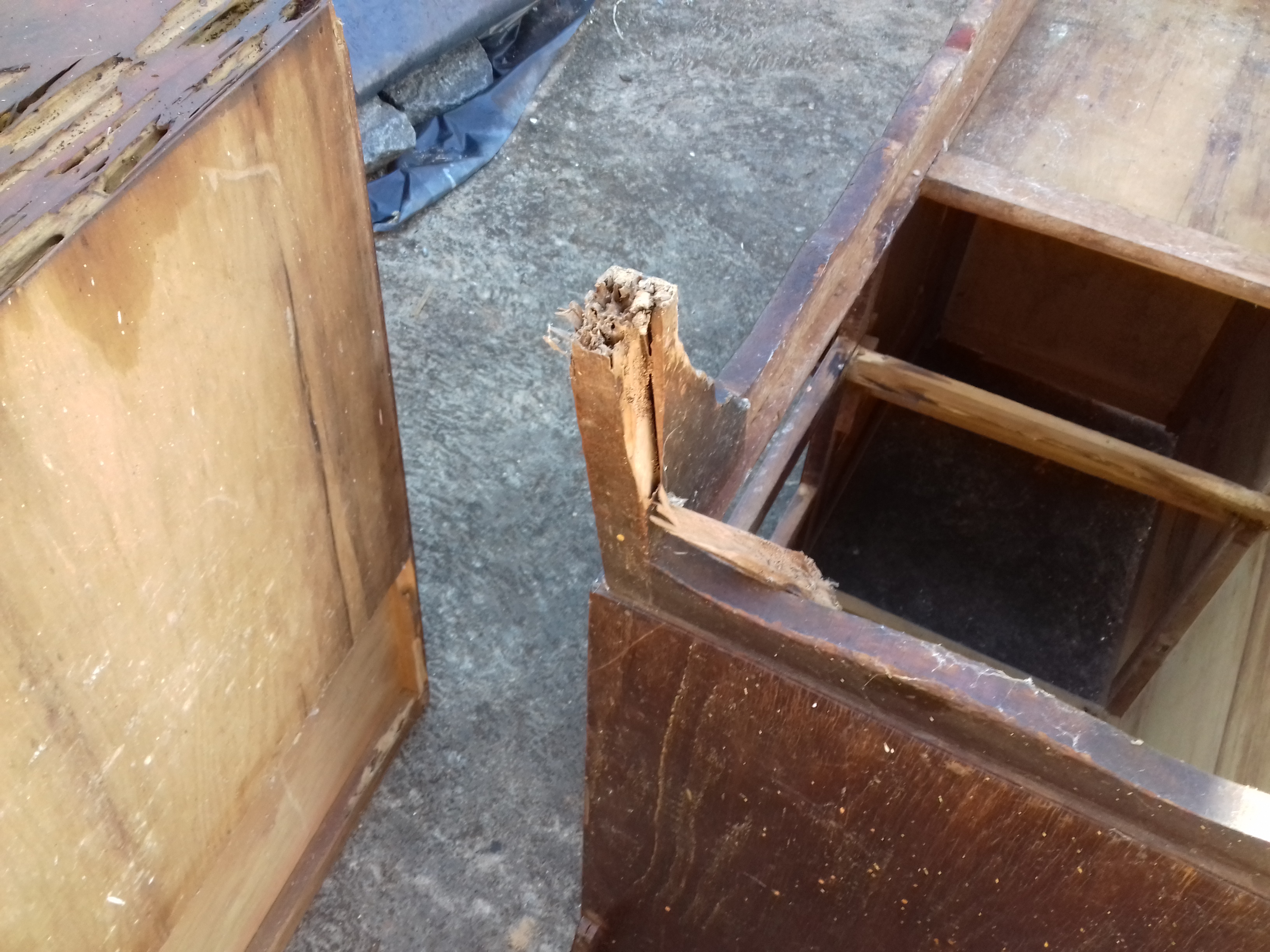 Restauração dos Pés